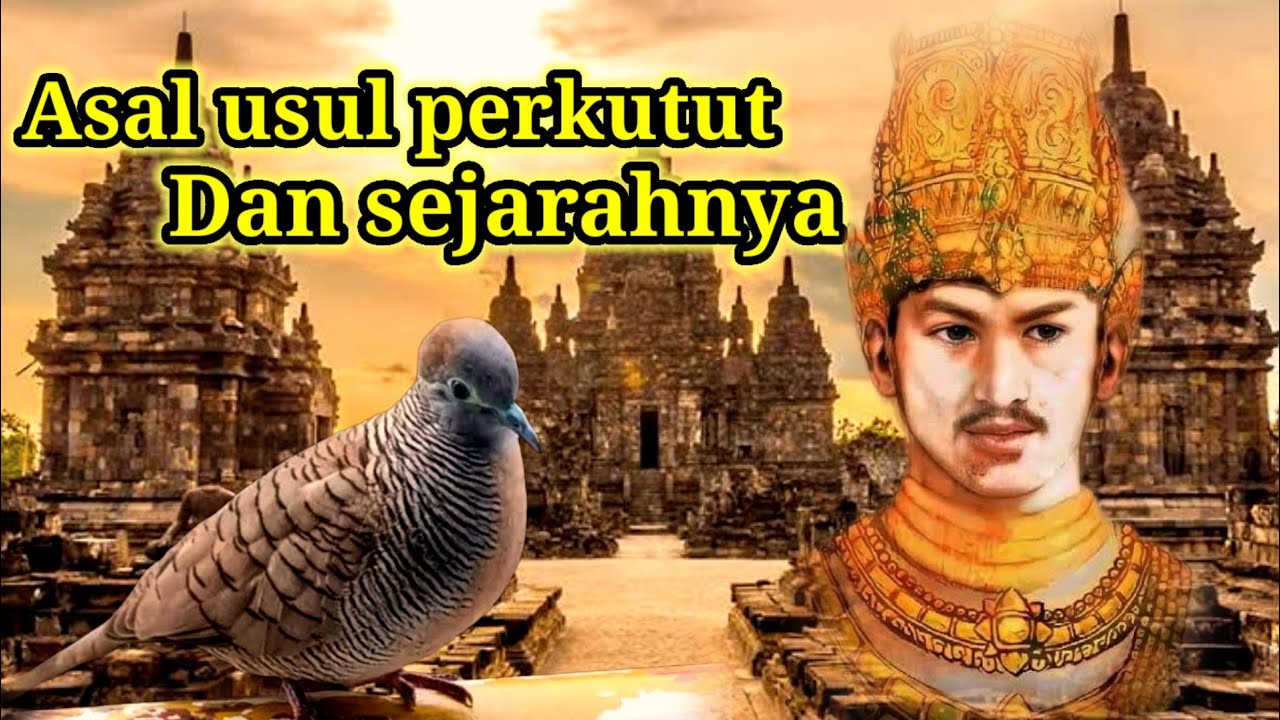 ASAL USUL BURUNG PERKUTUT & SEJARAHNYA