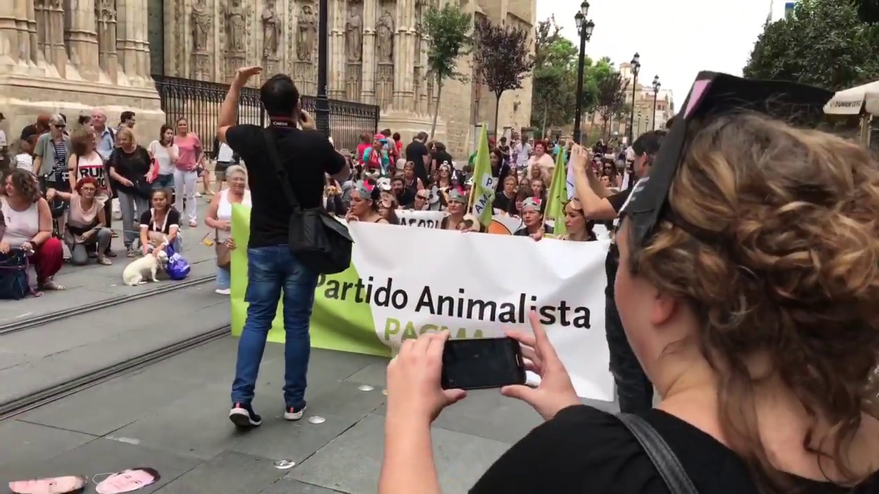 Manifestaci&oacute;n por el Zoosanitario de Sevilla.