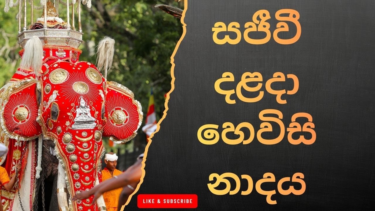 දළදා මාලිගාවේ සවස් තේවා හේවිසි – හදවත පිරිසිදු කරන නාදය 🎵 SIRI DALADA THEWA HEVISI NADAYA