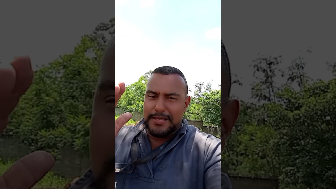 ORAÇÃO DA TARDE DEUS GUIARÁ TEUS PASSOS POR ONDE VOCÊ 🫵🏾 FOR. FAÇA PARTE DESSA CORRENTE 