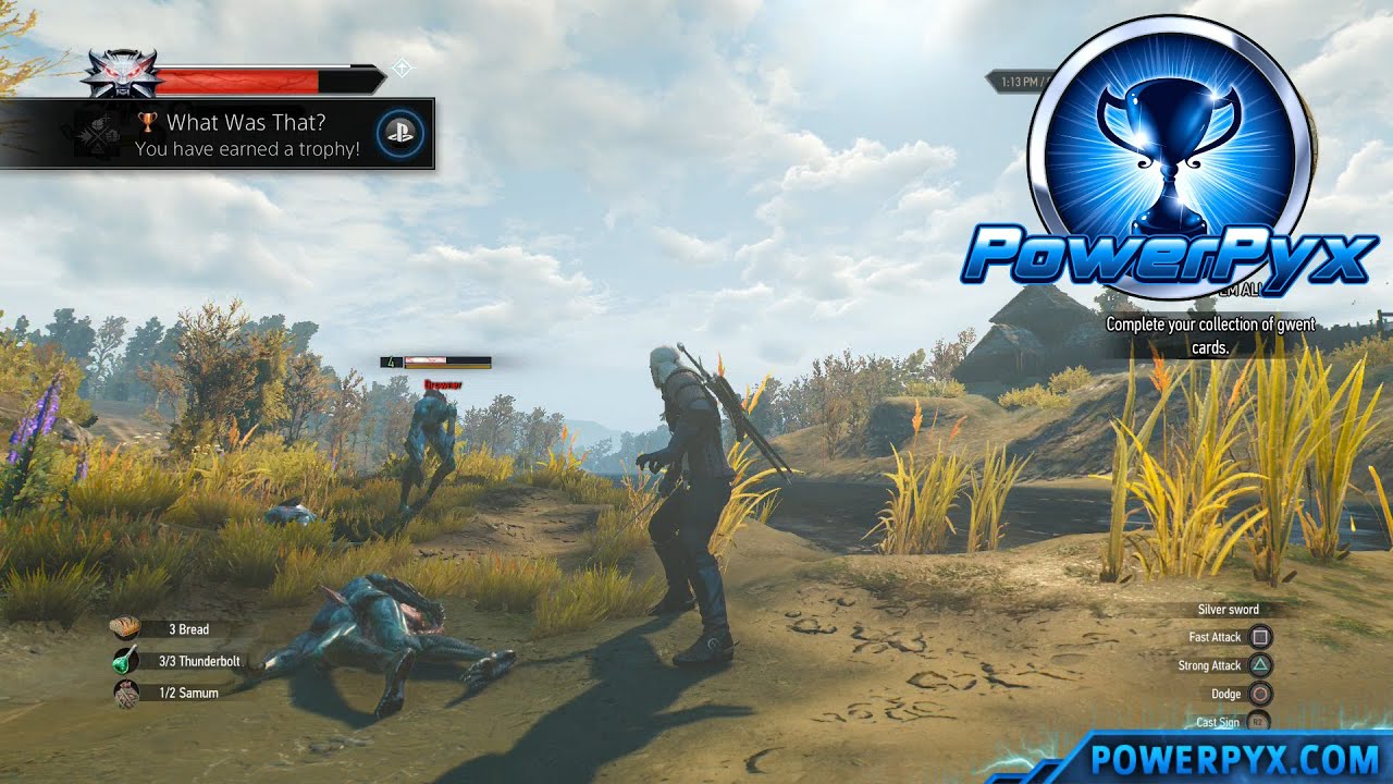 The Witcher 3 Wild Hunt - What Was That? Trophy / Achievement Guide