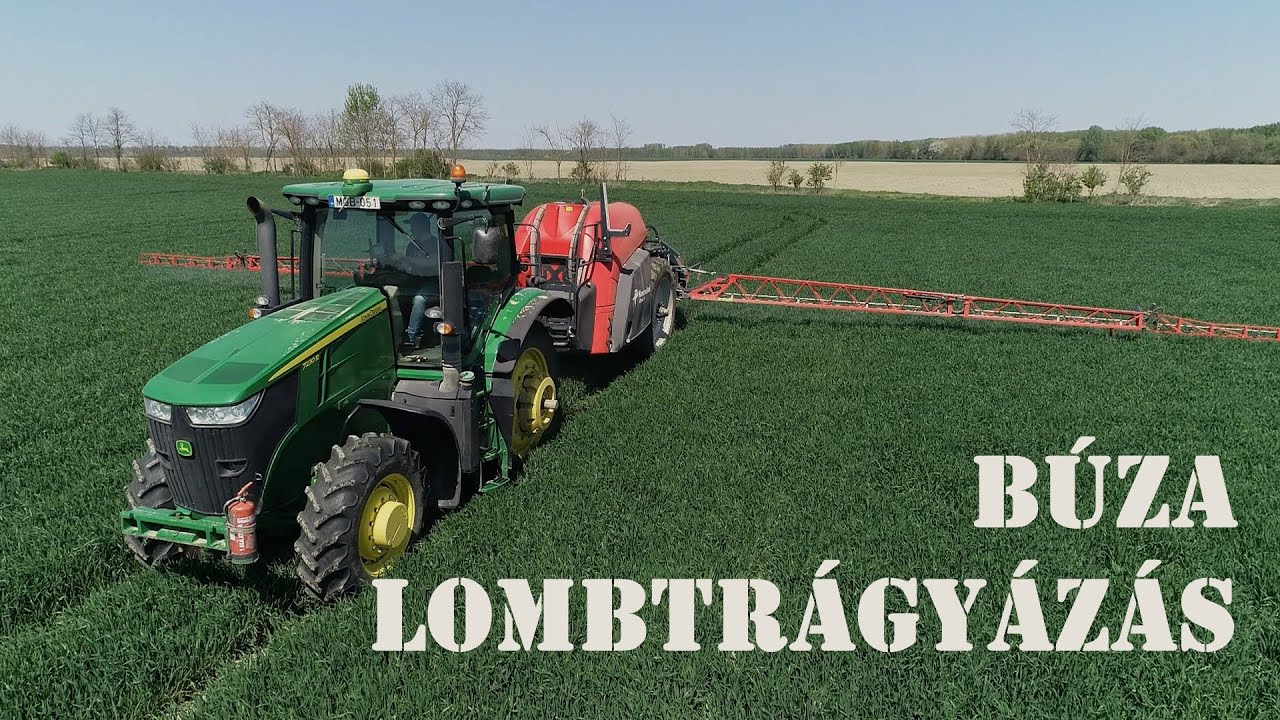 BÚZA LOMBTRÁGYÁZÁS | 2020