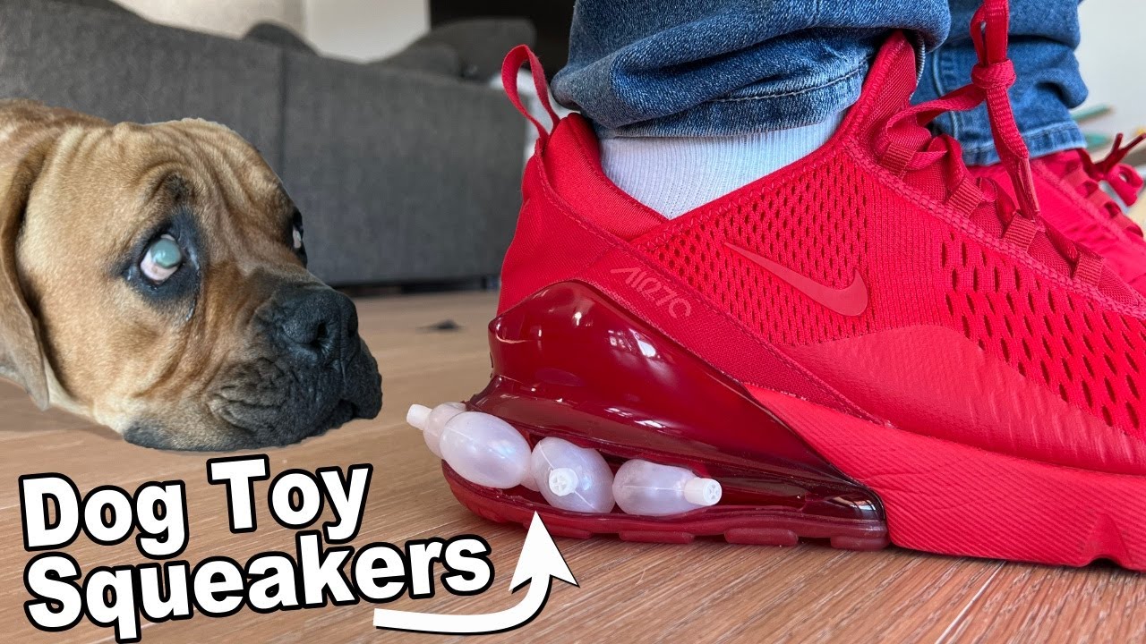 I made Nike Air Squeakers so my Blind Dogs can Follow me