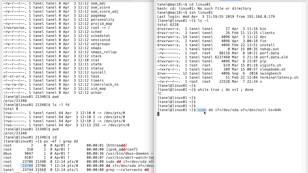 Изучение файловой системы /proc в Linux и системных вызовов. Интервью с Танелем Подером.