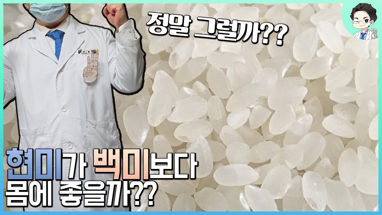 현미가 정말 백미보다 몸에 좋을까? | 현미 vs 백미 (현직의사가 알려주는 승부 결과는?)