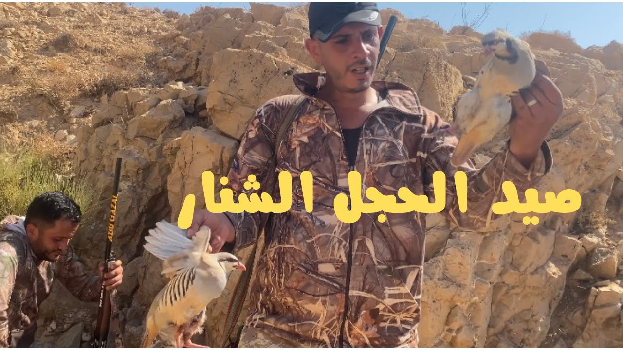 ضربة شنار 