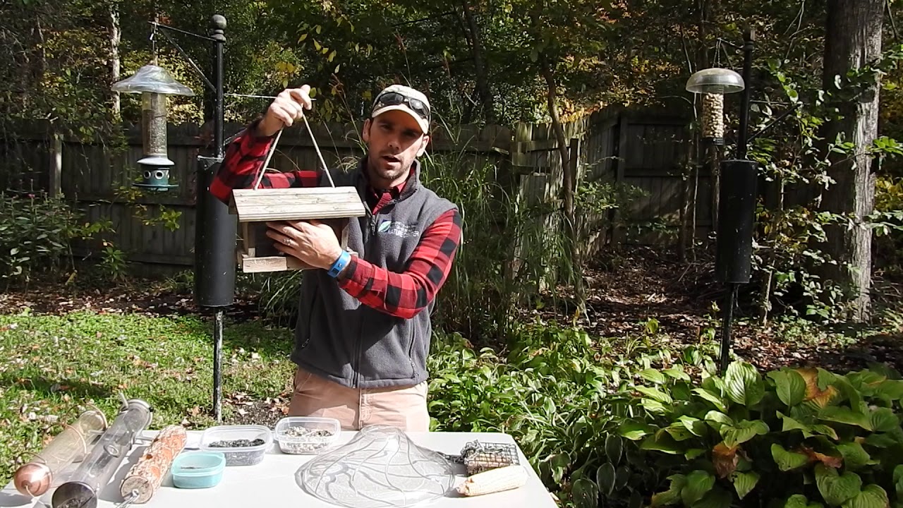 Bird Feeding Basics - Huston-Brumbaugh Nature Center