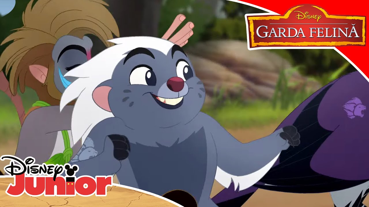 Prieteni până la capăt 😍🎶 | Garda Felină | Disney Junior România