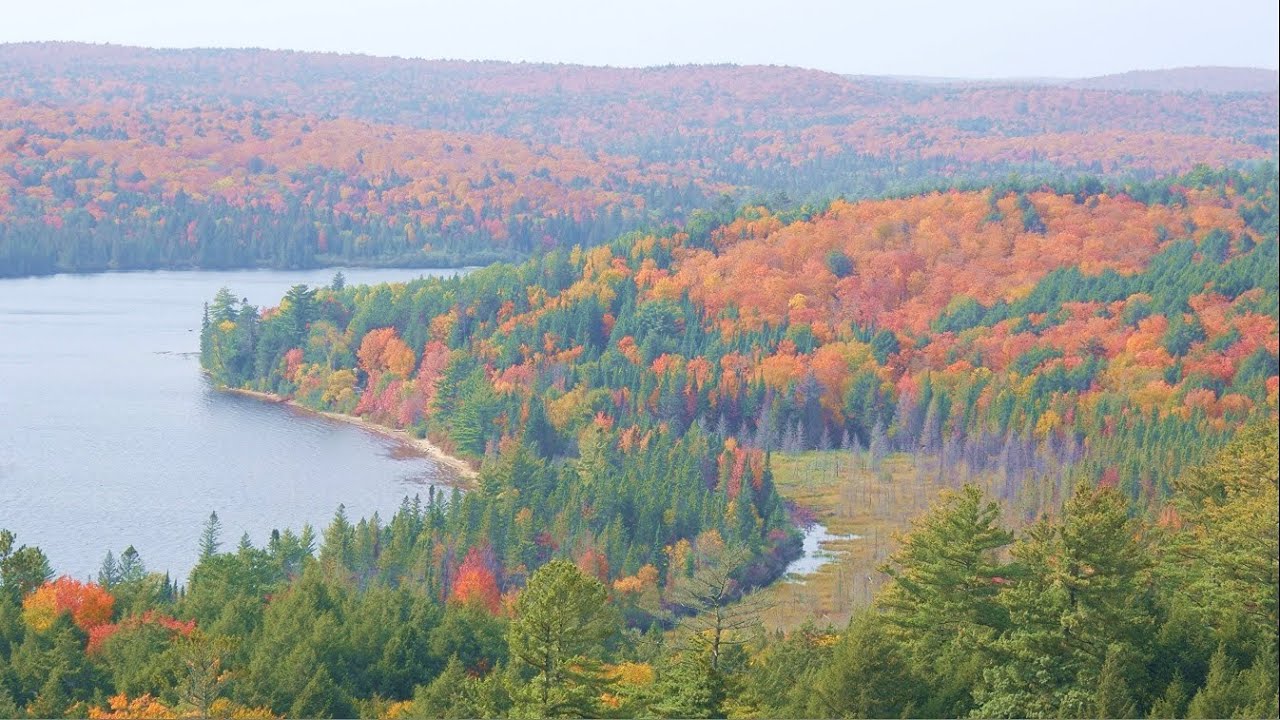 Beautiful Fall Colours in Canadian Wilderness Algonquin Park