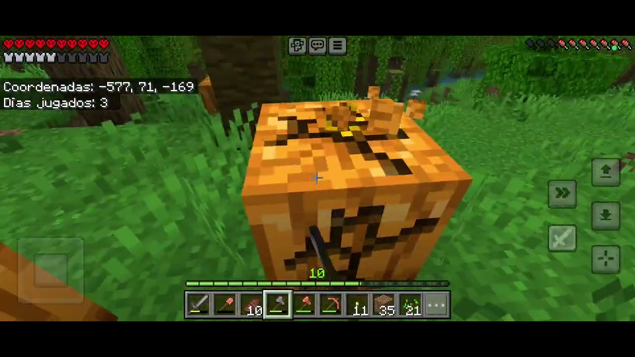 Me intento pasarme Minecraft en modo hardcore día 3 intento 5 .
