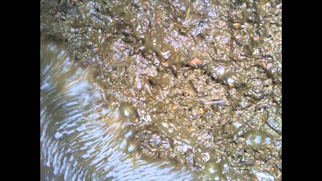Gas Mixing an Anaerobic Digester