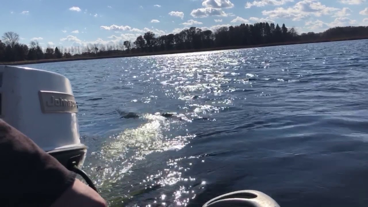 1972 Johnson 25hp outboard motor