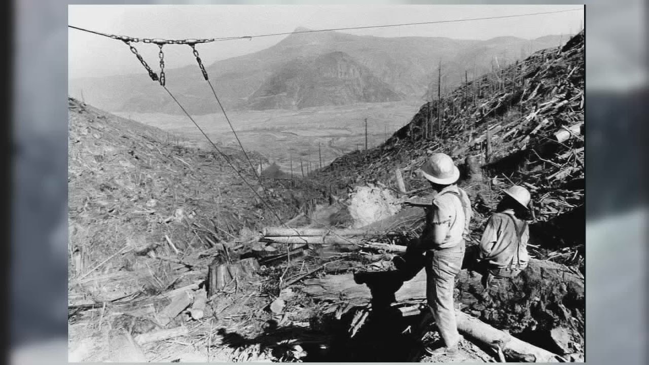 An eruption's aftermath: Local sawmill employee recalls timber cleanup after Mount St. Helens