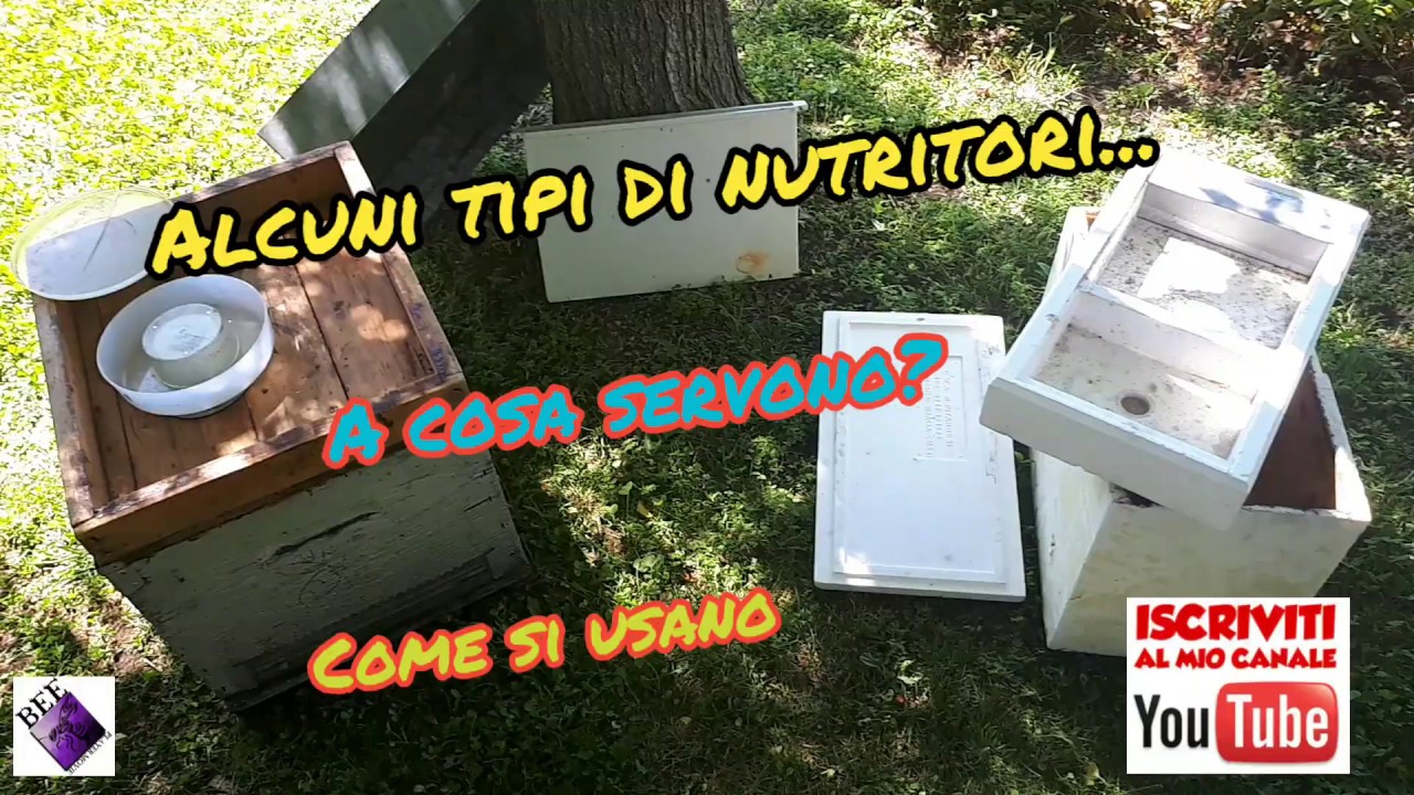 Apicoltura alcuni tipi di nutritori e i suoi utilizzi