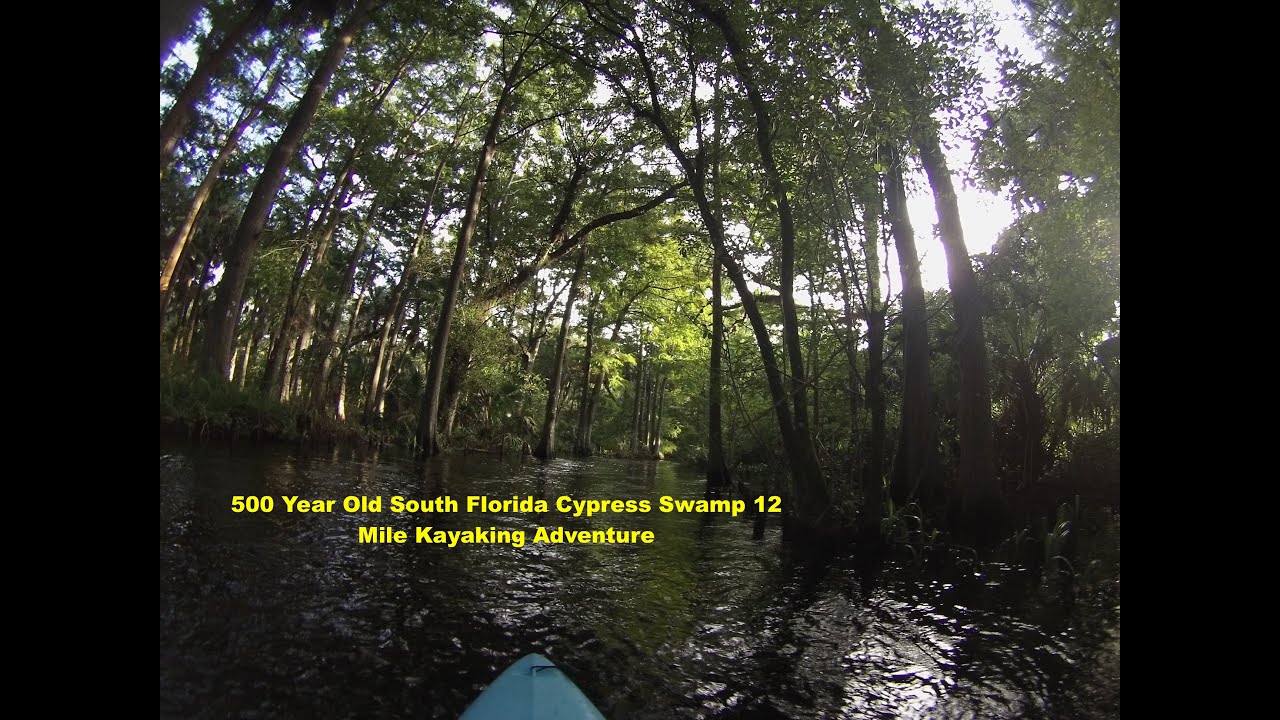 Kayaking from Riverbend Park in Jupiter to Jonathan Dickinson State Park in Hobe sound Florida￼