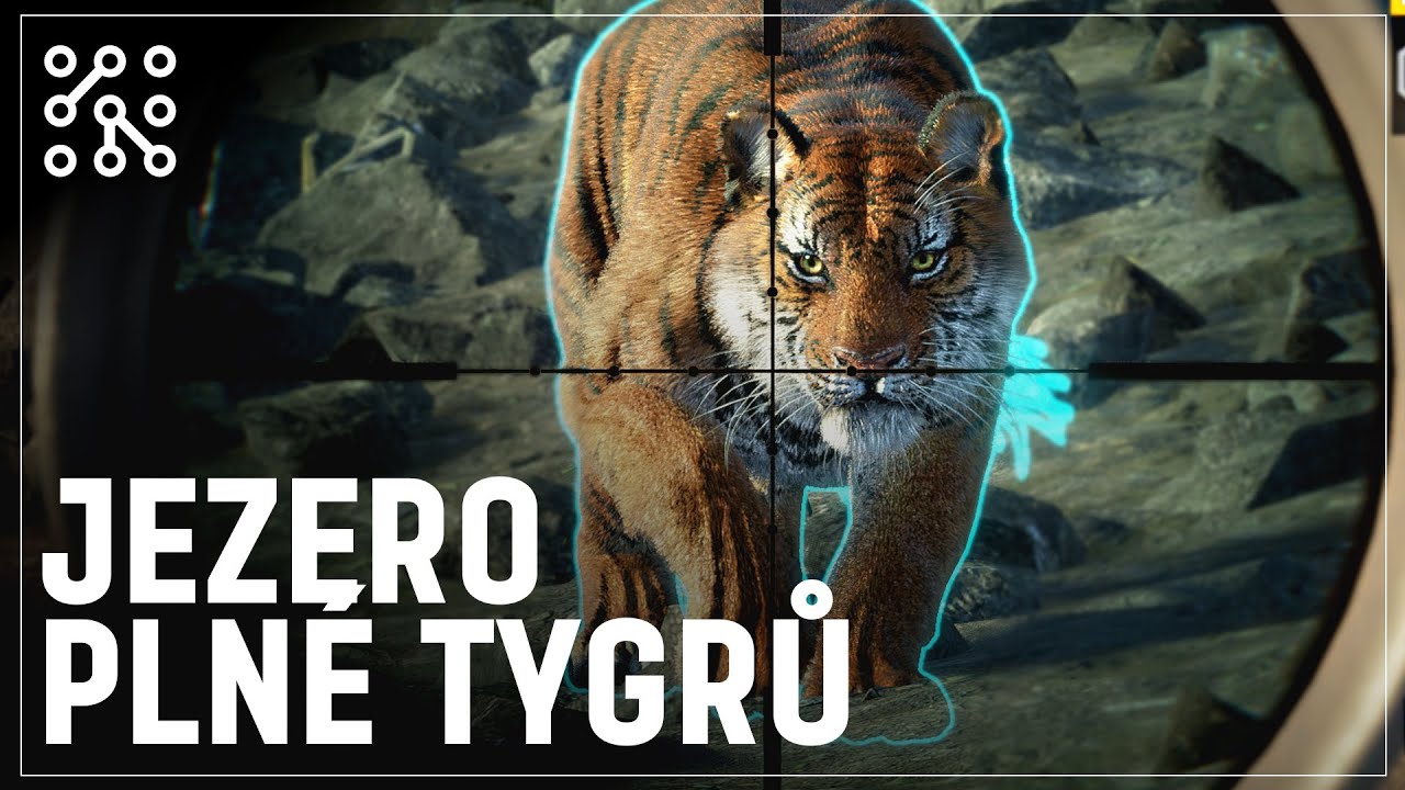 Vyb&iacute;r&aacute;m si tygra | theHunter: Call of the wild CZ |  Česky