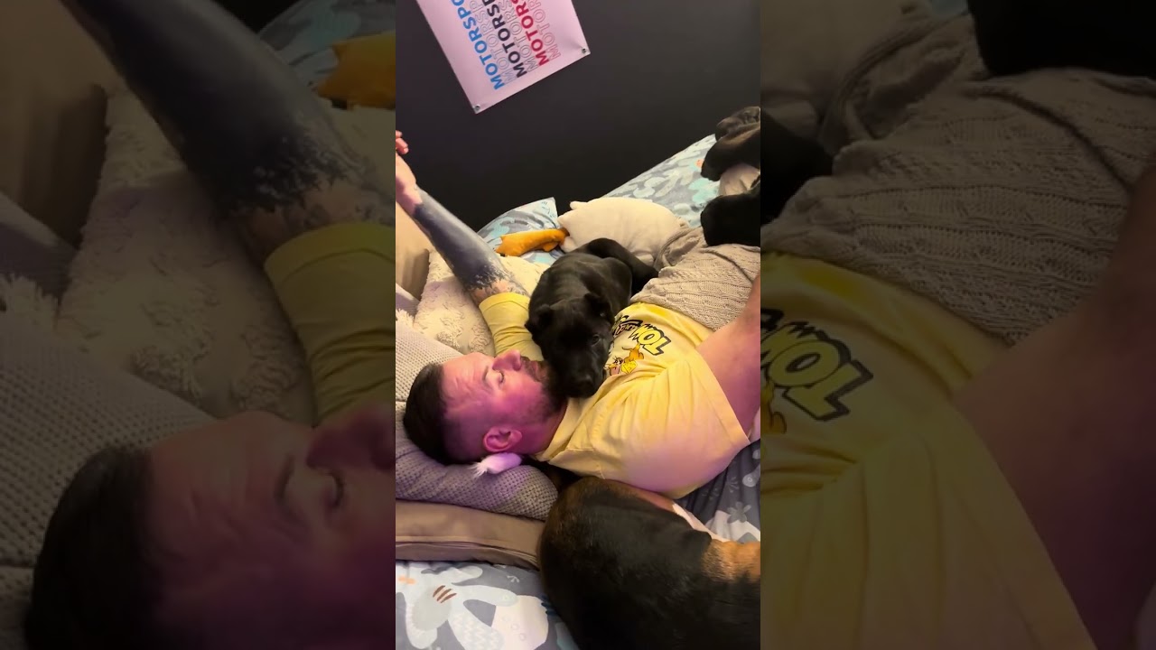 В псарне дела хорошо, идут 🥰