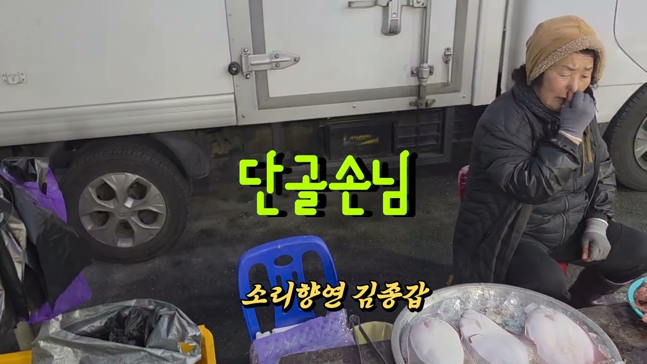 단골손님/조미미 (소리향연 김종갑)