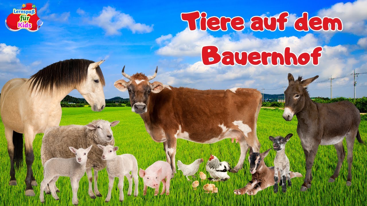 Bauernhof-Tiere hautnah: Ein lustiges Lernvideo f&uuml;r Kinder