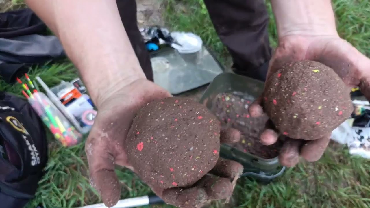  Pierwsze Brzany na boląke nagły zwrot na Odrze  #odra #brzany #wędkarstwo #rekord 