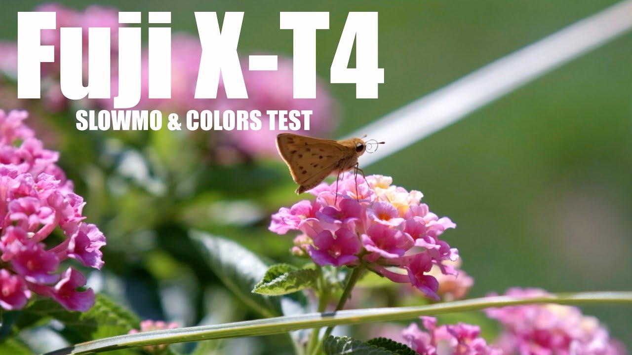 Fuji X-T4 DCI 4K 60P | 120P Slow Motion & Colors Test | Hand Held