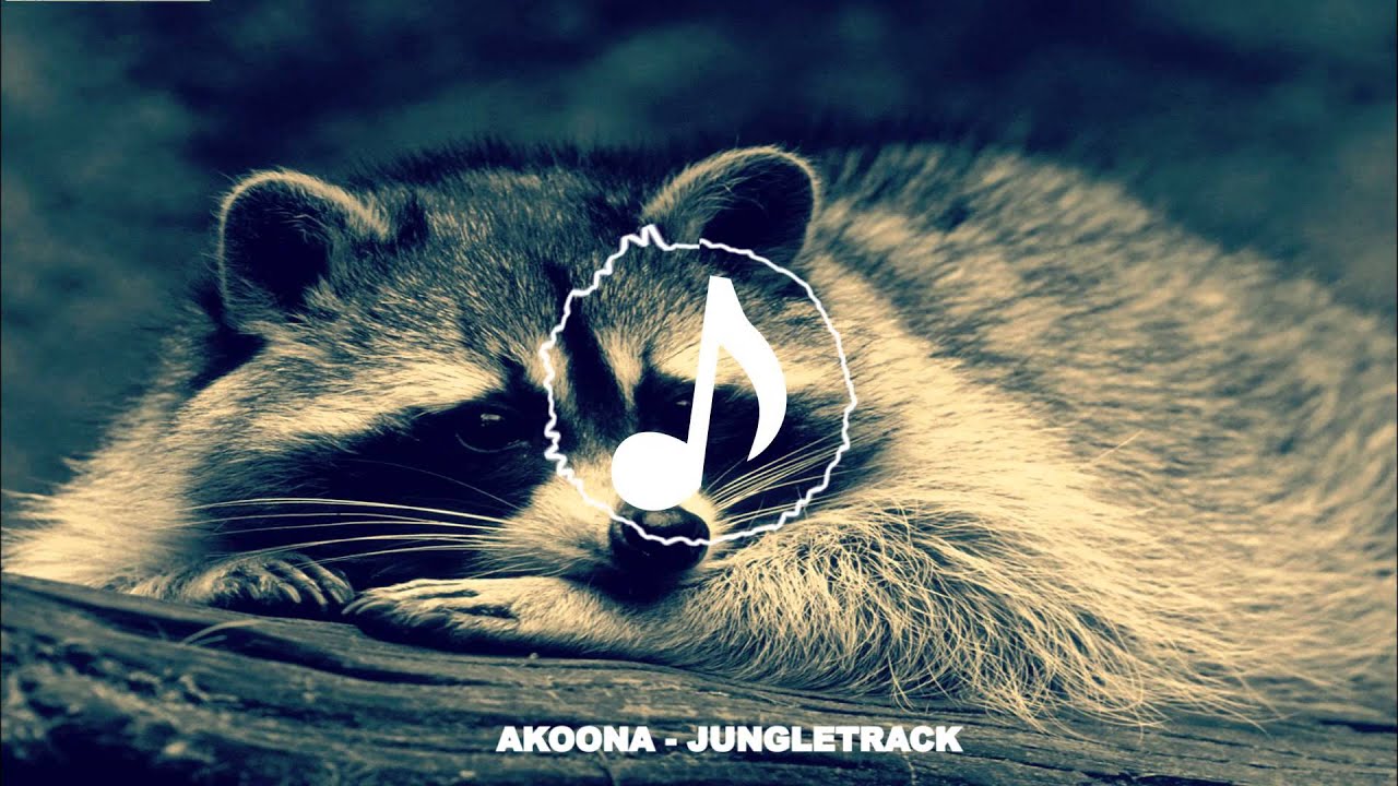 AKOONA  - JUNGLE TRACK (Original Mix)
