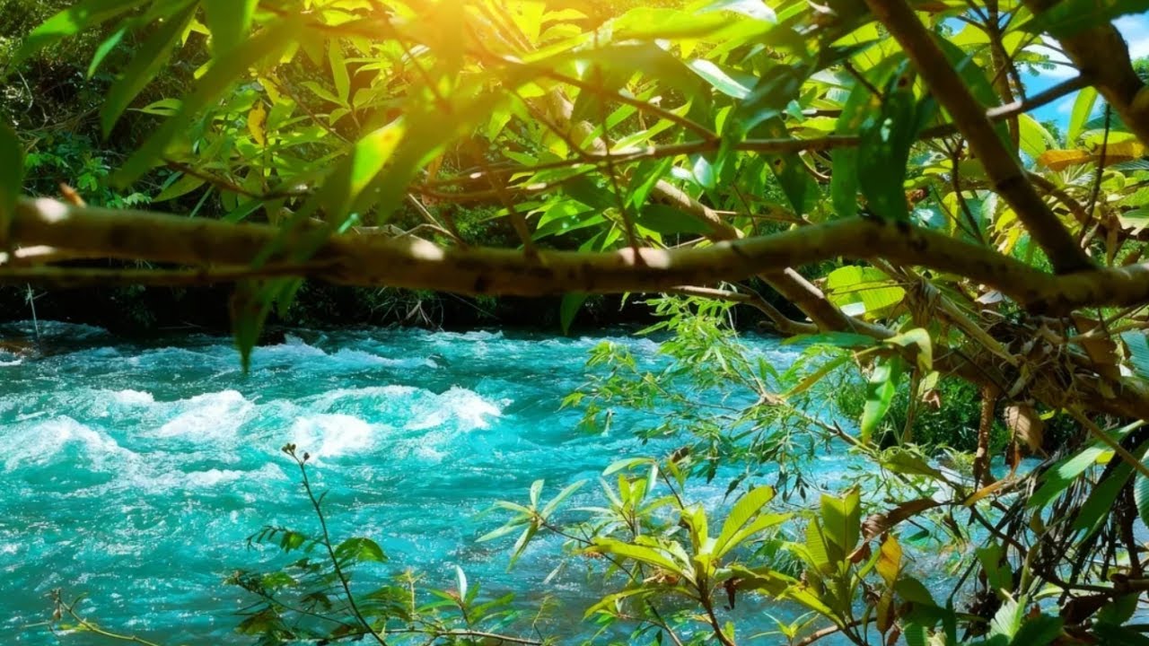 WATER & ROCKS ASMR, CALMING FLOWING WATER FOR INSOMNIA RELIEF