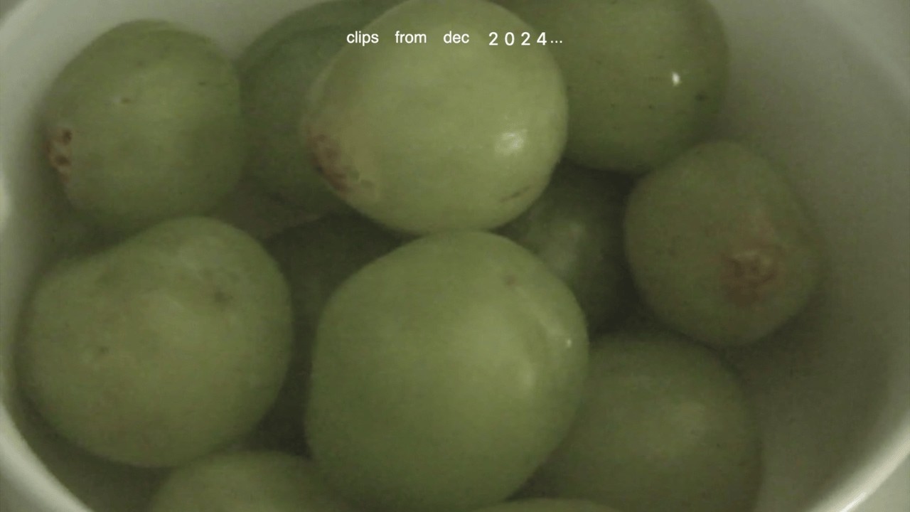 clips from dec 2024