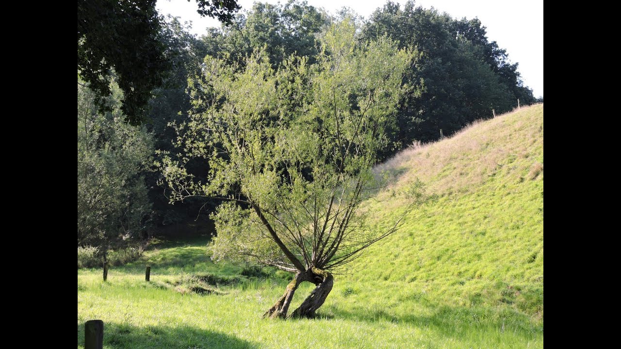 An Mülheims Grenzen [Teil 1] von Heißen nach Kettwig