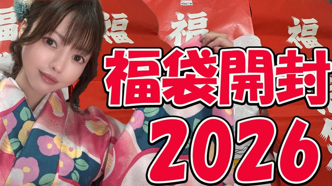 【福袋 2026】ゲーム福袋！ワンピースカードやマクドも！その他沢山開封【レトロゲーム】