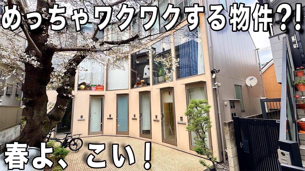 え、庭に桜が・・・めっちゃ変わった間取りだけど！もうすぐ桜がさく！まぁびっくり花見ができるお部屋を内見！