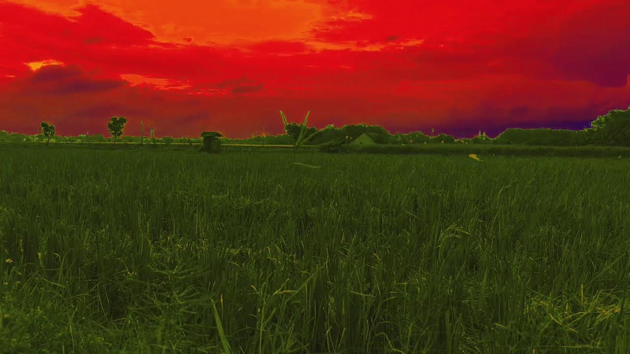 Its ok... You need to rest 