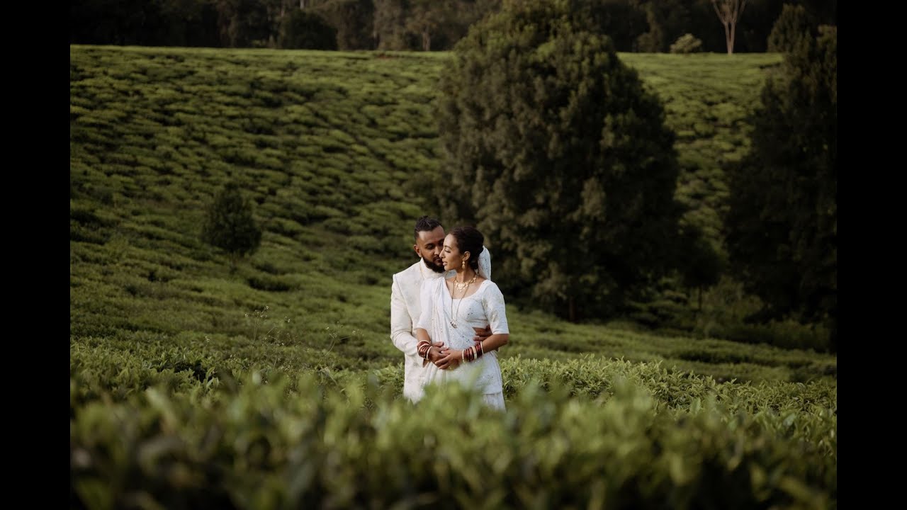 Jay & Khelin Wedding Highlights | Where Magic Meets Effortless Love