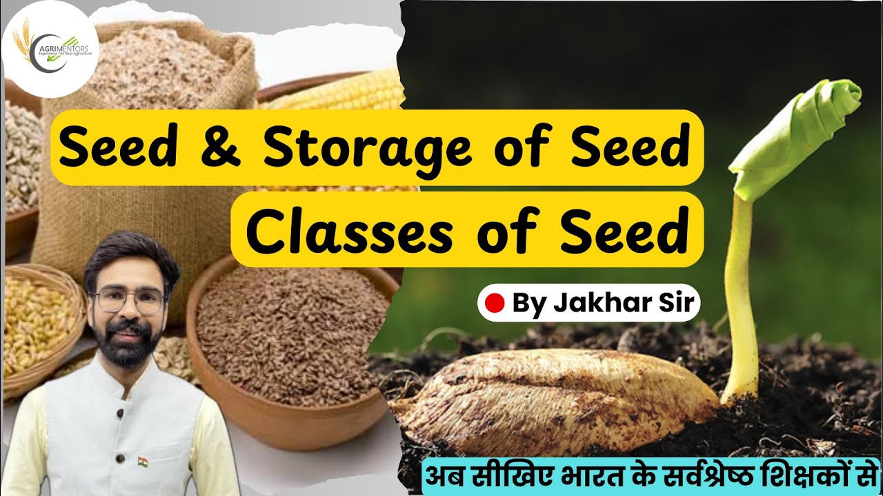 Seed & Seed Technology: A Brief Session | Seed Classification | Seed Storage | Seed Characteristics