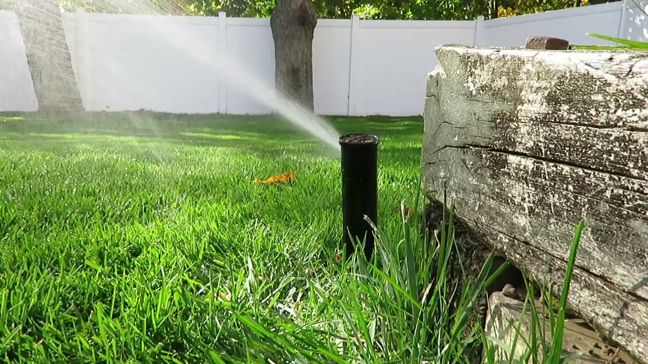 Rain Bird 32SA Rotor Sprinkler Demo - ASMR