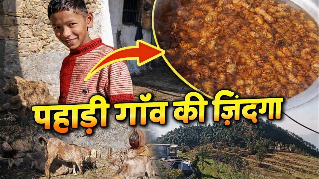 गांव में होने लगी है अच्छी फसल ♥️