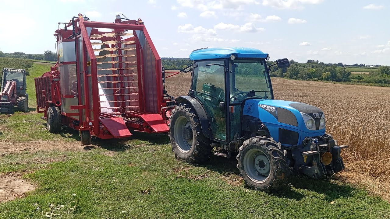 Zbiór Wiśni Kombajnem Felix -Z & Landini  Rex 80f