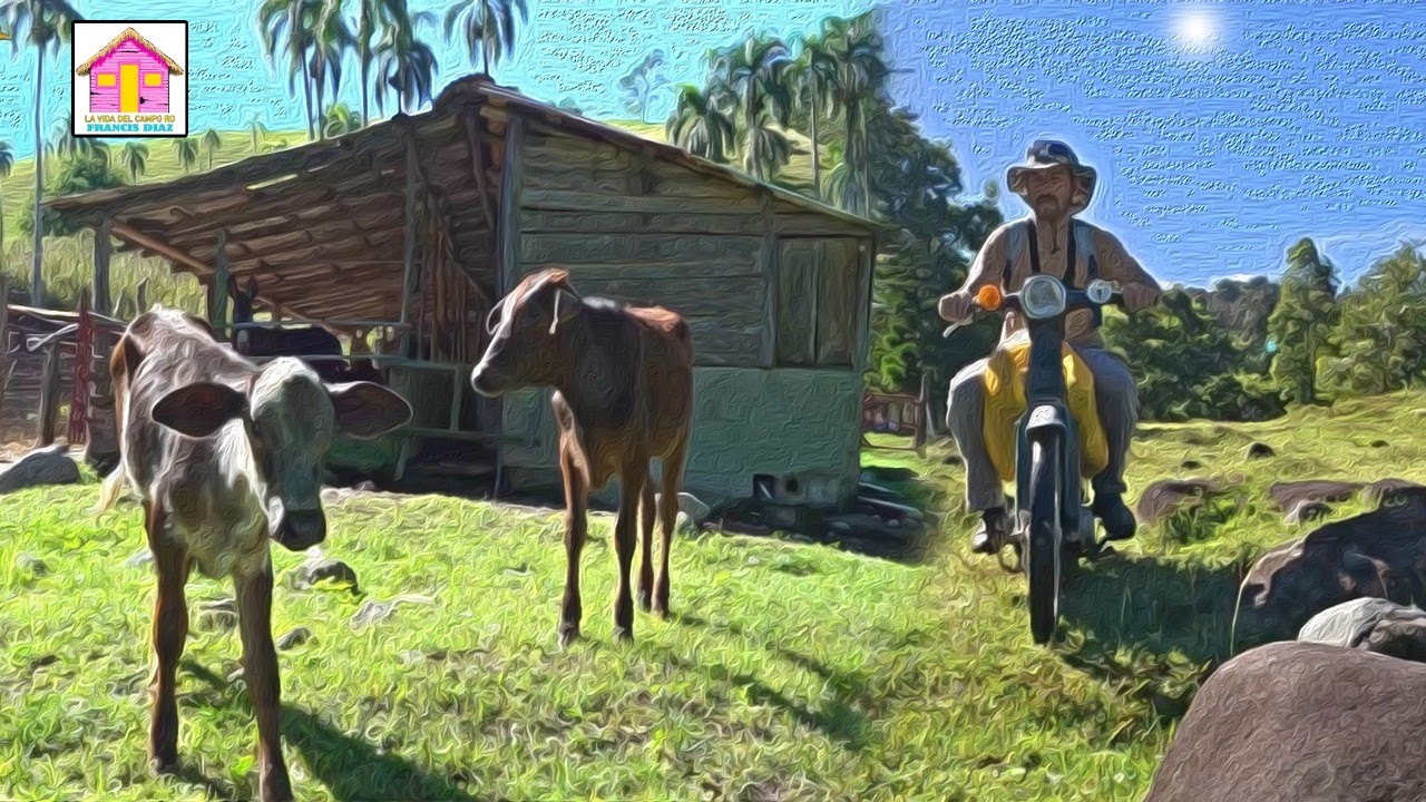Este puede ser EL CAMPO FAVORITO EN JARABACOA Republica Dominicana Francis Díaz
