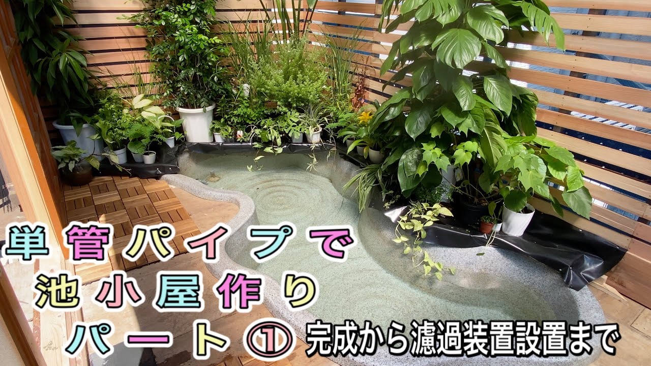 【単管パイプで池小屋作り】①池作り完成！金魚・川魚！