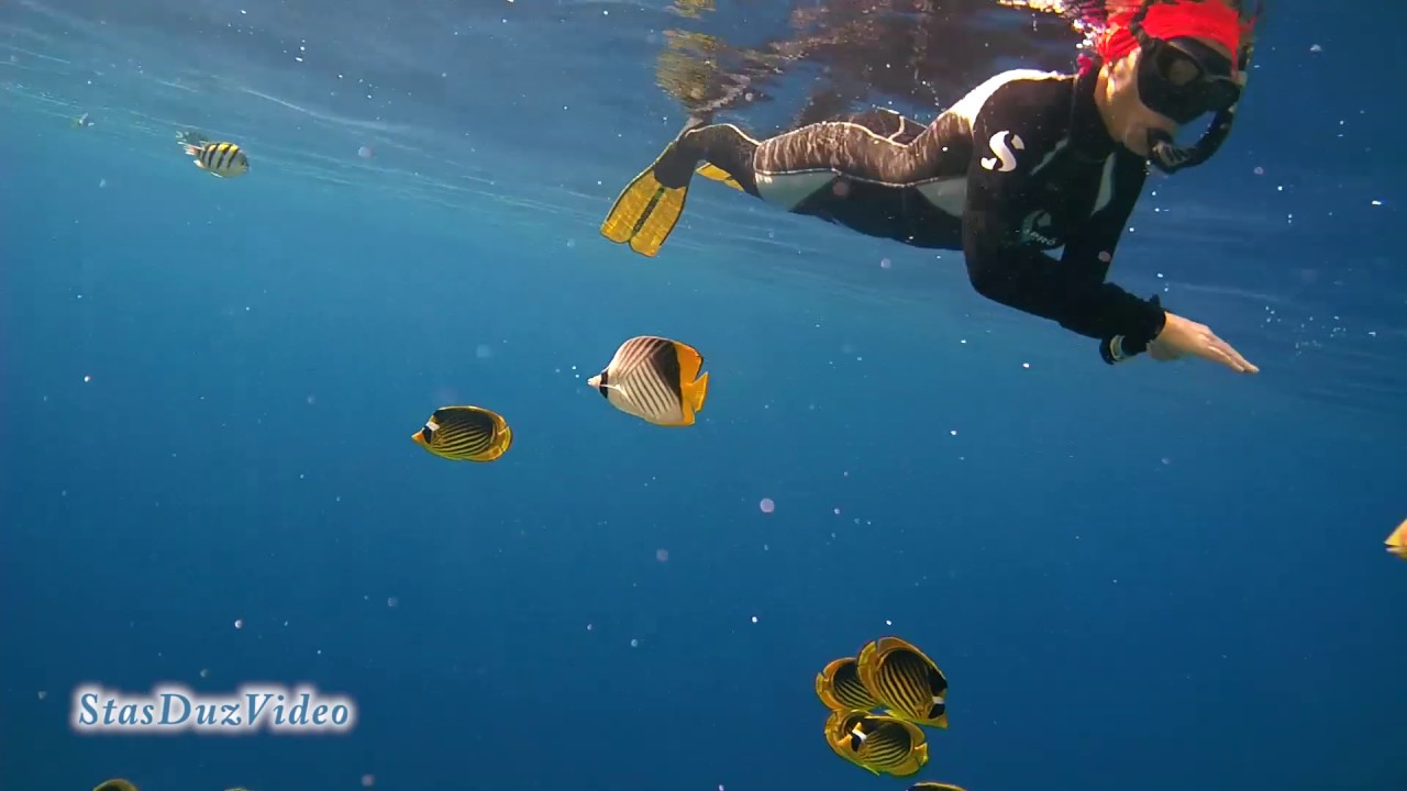 Diving in Ras Umm Sid, Egypt