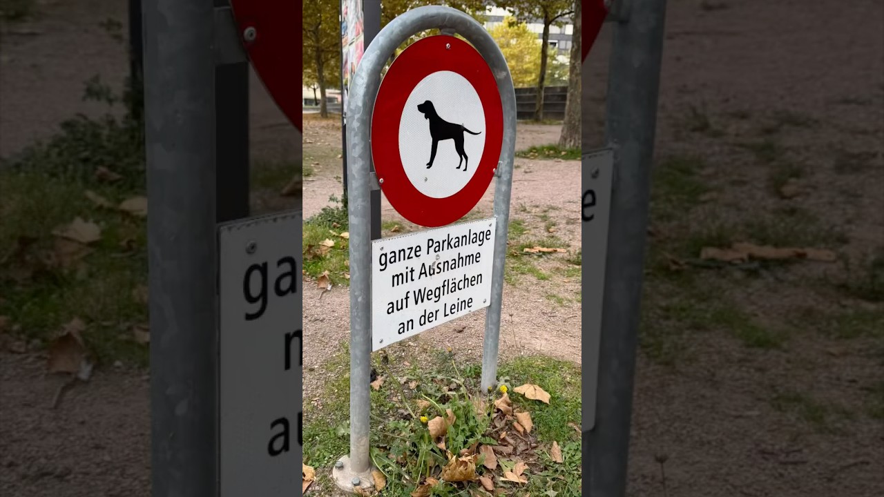 Mit der Rollleine 2.0 wird jeder Hunde-Spaziergang zu einem sicheren Vergn&uuml;gen #rollleine