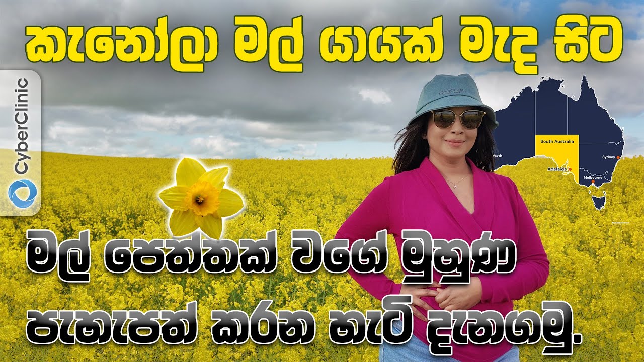 මල් පෙත්තක් වගේ මුහුණ පැහැපත් කරන හැටි දැනගමු Cyber Clinic