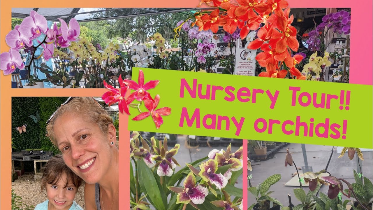 Fabulous Nursery tour in Miami! Great Orchid Deals!! Visit Casaplanta…