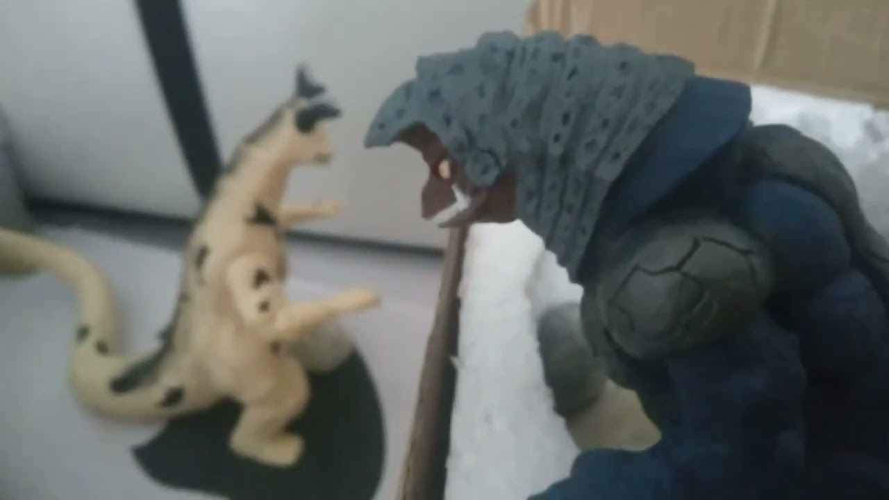King Joe order the wrong package 