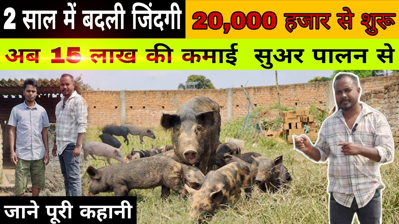 ₹20,000 हजार से शुरू || अब 15 लाख की कमाई || सूअर पालन से || Rj farmer 2025