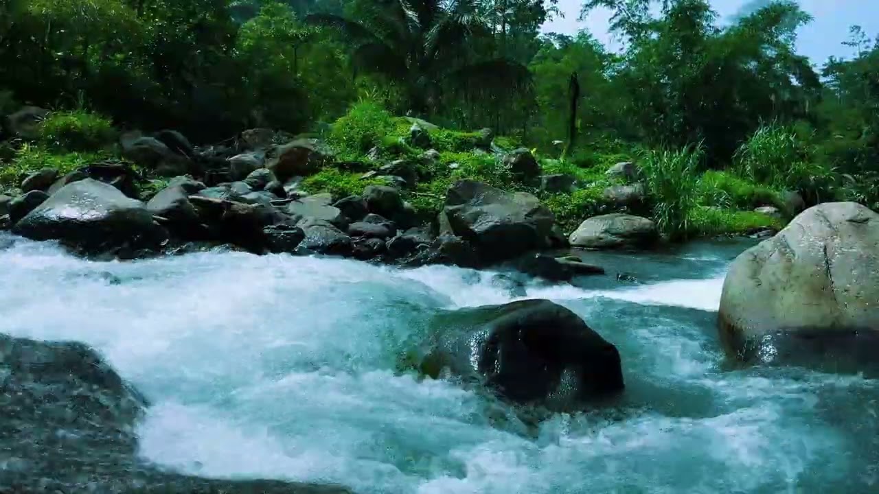 Deep Sleep Guaranteed with This Relaxing Jungle River Ambience