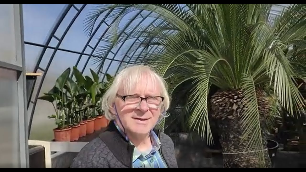 Nový tovar - Veľká noc 2022 - exotická záhrada TUMA v Bánovciach nad Bebravou.