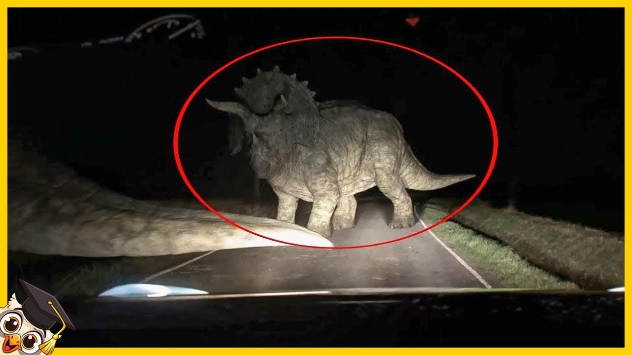 20 Dinosaurier, die mit der Kamera im echten Leben gefangen wurden