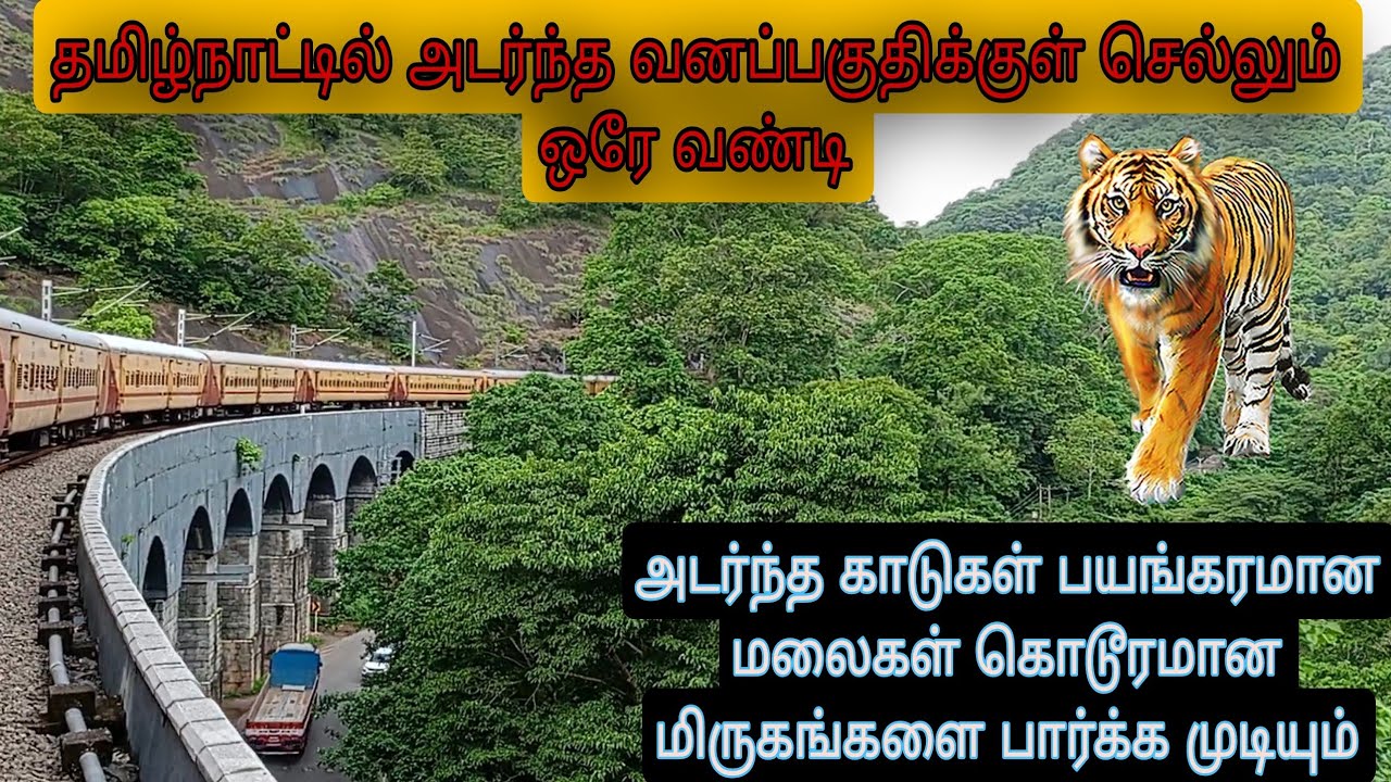 Tenkasi to Kollam train vlog. தென்காசியில் இருந்து கொல்லம் வரை