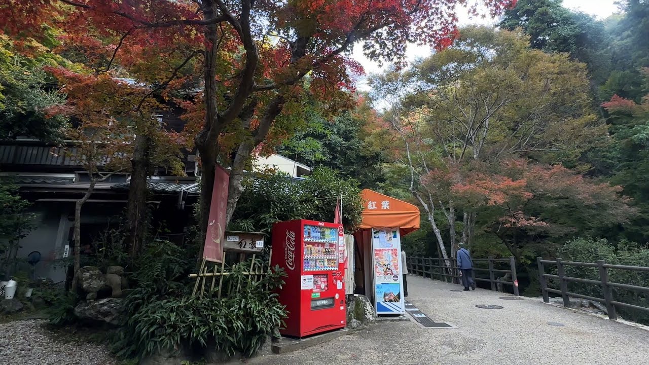 nov 13, 2025: mino falls & kyoto in autumn
